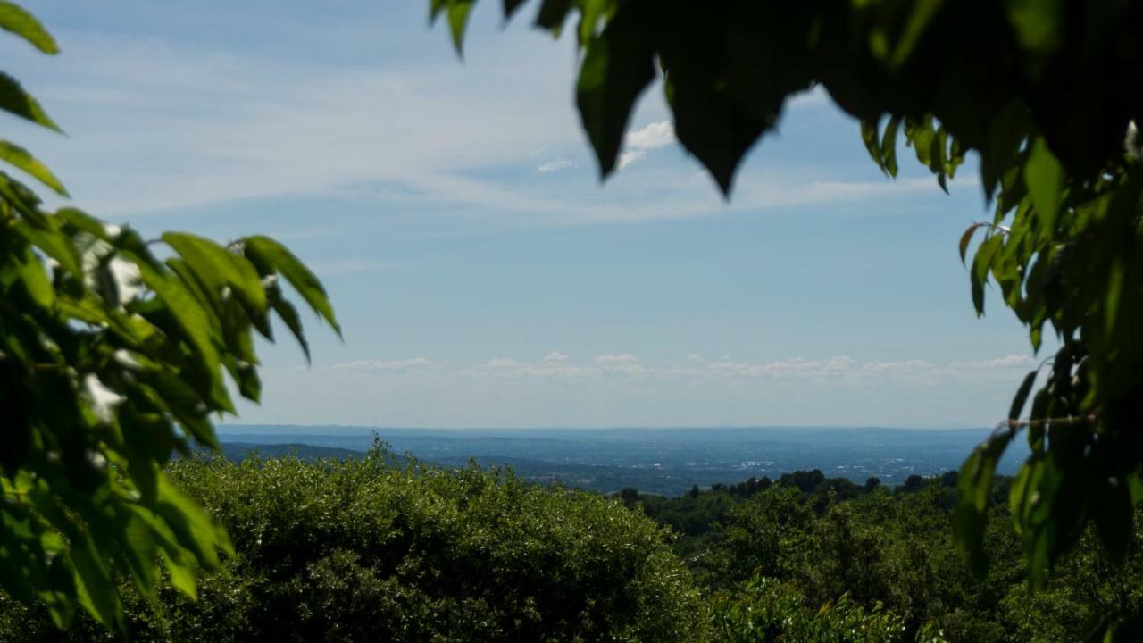 Les Cerisiers De Stella Βίλα Blauvac Εξωτερικό φωτογραφία
